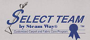 Select Team by Steam Way
